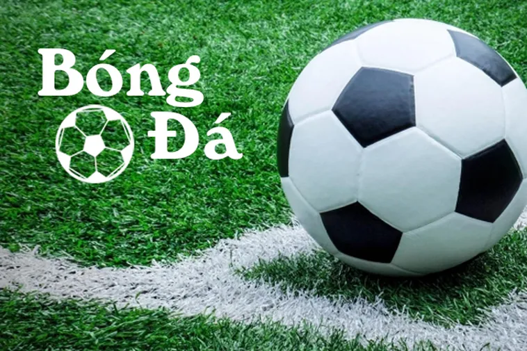 Quy Định Về Bóng Trong Cuộc Và Bóng Ngoài Cuộc Bạn Cần Biết
