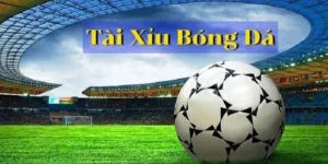 Tổng Hợp Cách Chơi Kèo Tài Xỉu Bóng Đá Hiệu Quả Cho Người Mới Bắt Đầu