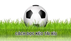 Chiến Thuật Phân Tích Kèo Tài Xỉu Hiệp 1 Mang Lại Hiệu Quả Cao