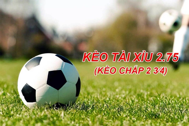 Hướng Dẫn Cách Chơi Kèo 2.75 Hiệu Quả Và Bí Quyết Thắng Lớn Mỗi Ngày