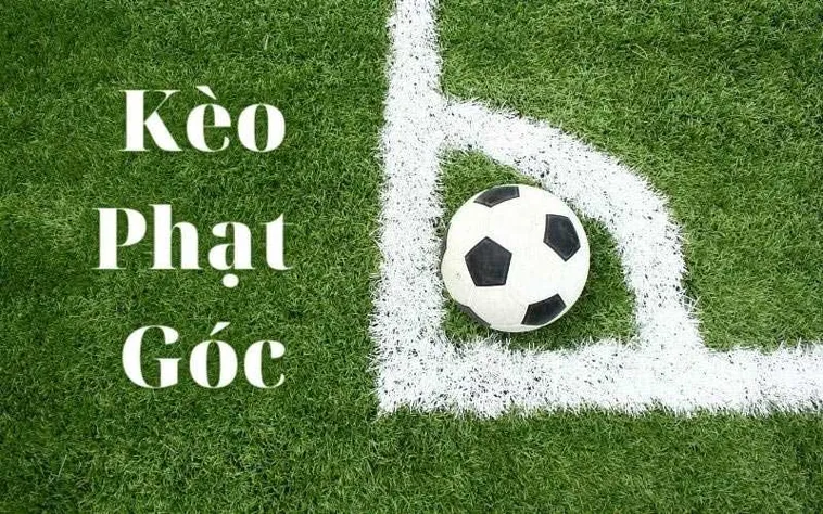 Bí Quyết Nắm Bắt Cách Chơi Kèo Phạt Góc Bóng Đá Mang Lại Lợi Nhuận Cao