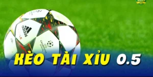 Toàn Tập Cách Chơi Kèo Tài Xỉu Bóng Đá Hiệu Quả Cho Người Mới