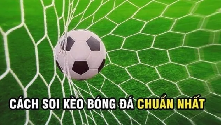 Bí Quyết Chơi Kèo Rung Trong Bóng Đá Giúp Nhà Đầu Tư Thu Lợi Nhuận Khủng